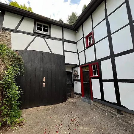 Noah - Seeleben Auf Zeit Am Rursee * Rurberg