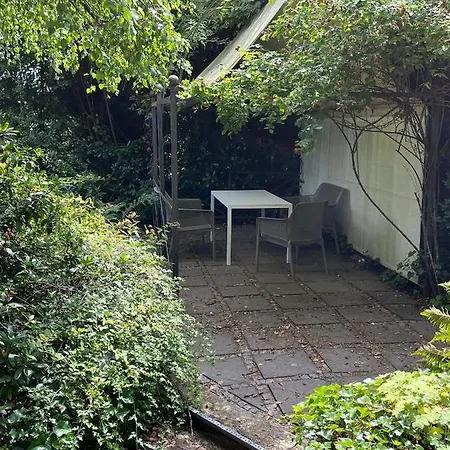 Noah - Seeleben Auf Zeit Am Rursee Semesterbostad