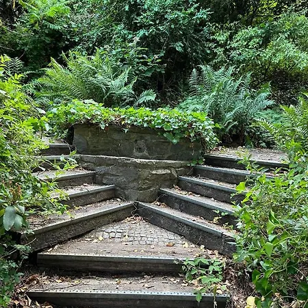 Semesterbostad Noah - Seeleben Auf Zeit Am Rursee *
