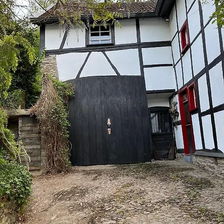 Holiday home Noah - Seeleben Auf Zeit Am Rursee *