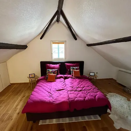 Noah - Seeleben Auf Zeit Am Rursee