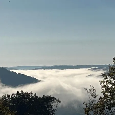Noah - Seeleben Auf Zeit Am Rursee