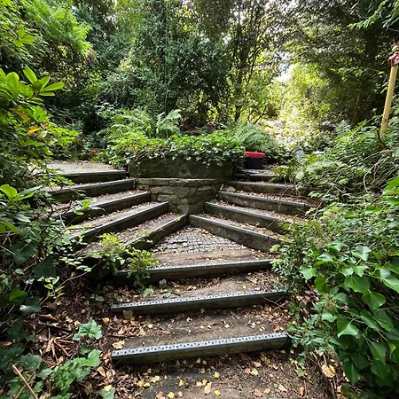 Semesterbostad Noah - Seeleben Auf Zeit Am Rursee Rurberg