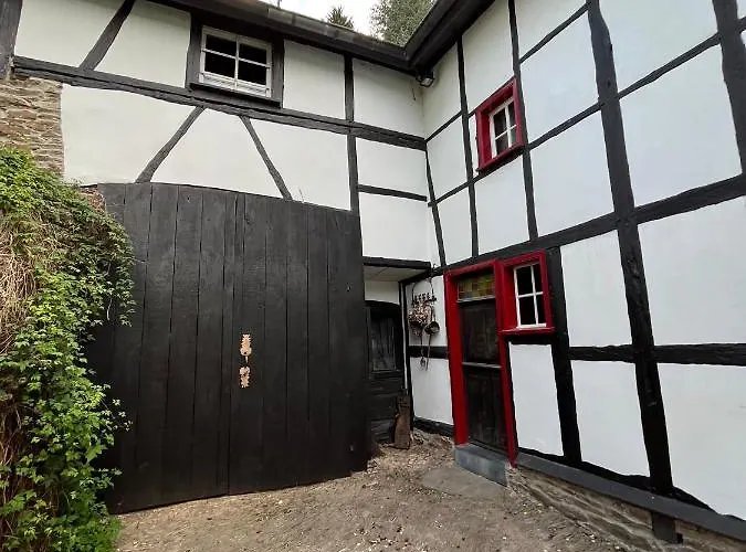 Noah - Seeleben Auf Zeit Am Rursee * רורברג