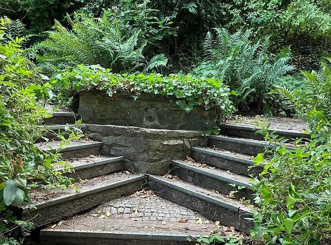 Tatil Evi Noah - Seeleben Auf Zeit Am Rursee *
