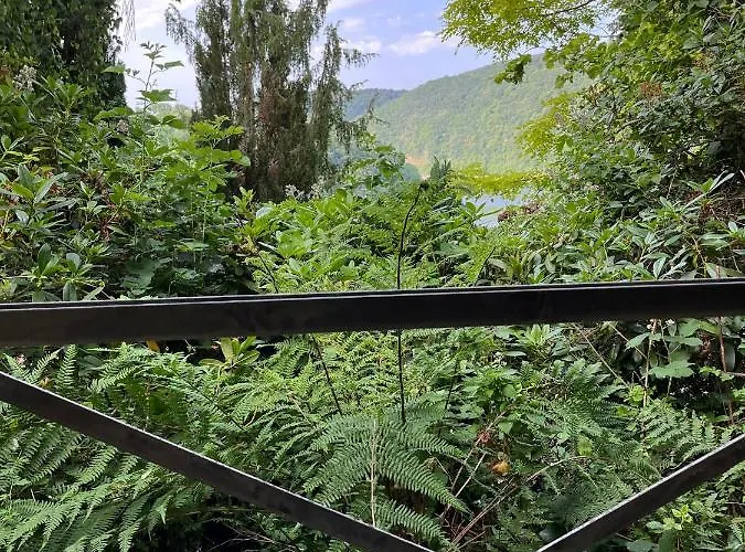 Noah - Seeleben Auf Zeit Am Rursee *