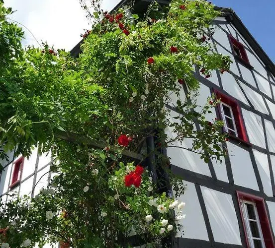 Noah - Seeleben Auf Zeit Am Rursee * Rurberg