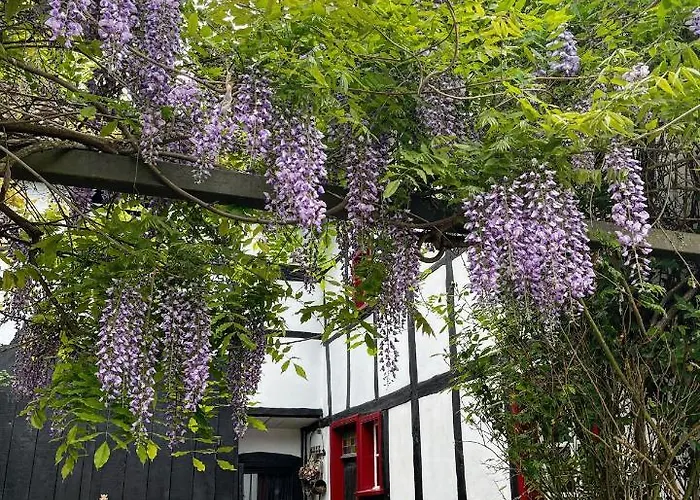 Tatil Evi Noah - Seeleben Auf Zeit Am Rursee