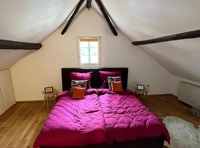 Noah - Seeleben Auf Zeit Am Rursee