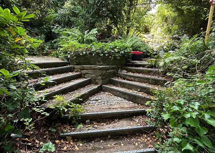 Tatil Evi Noah - Seeleben Auf Zeit Am Rursee Rurberg